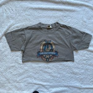 Medium Eco Mountain cropped t shirt, carlsbad caverns new mexico NM 505